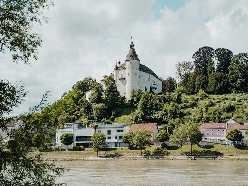 Blick auf Ottensheim vom anderen Donauufer