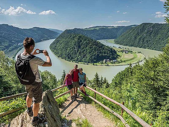 Wanderung mit tollem Blick auf die Donauschlinge in Schlögen