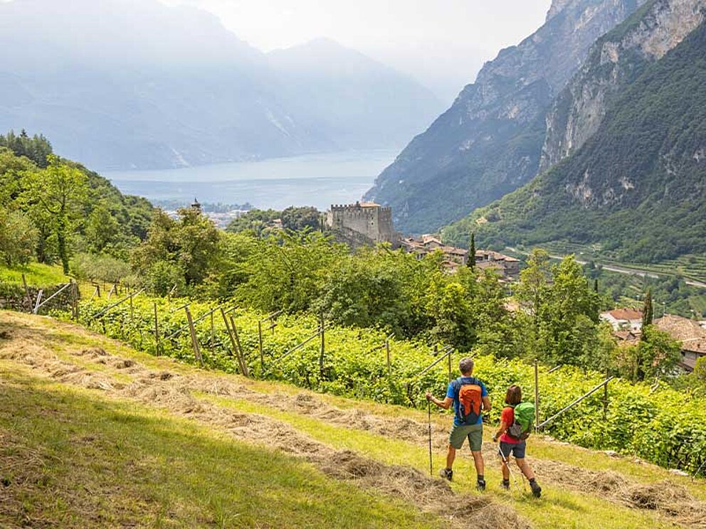 2 Wanderer gehen durch einen Weingarten, im Hintergrund der Gardasee