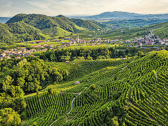 Das italienische Städtchen Valdobbiadene liegt inmitten von malerischen Weinbergen
