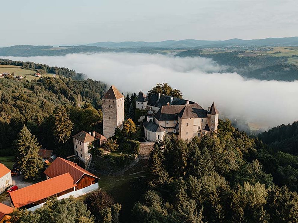 Burg Viechtenstein an der Donau